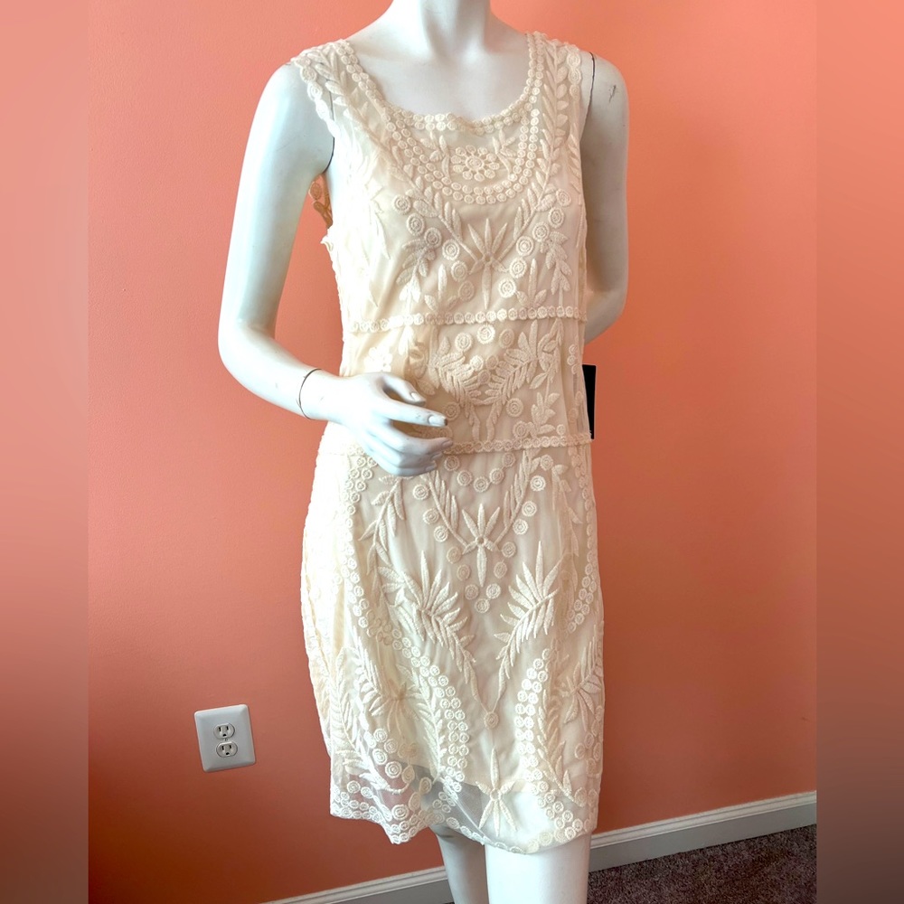 Express Cream Lace Patterned Sleeveless Dress